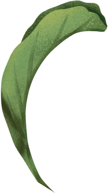 Blume: Blütenblatt 01