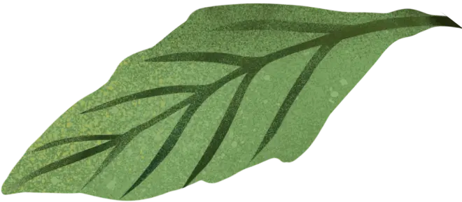 Blume: Blütenblatt 01