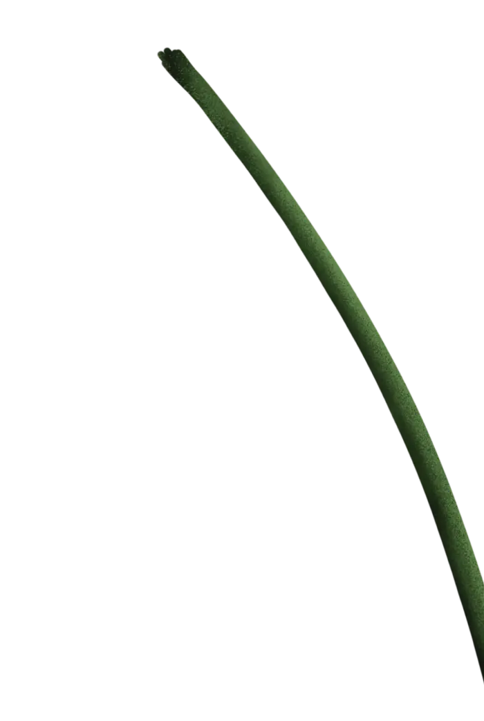 Blume: Basis