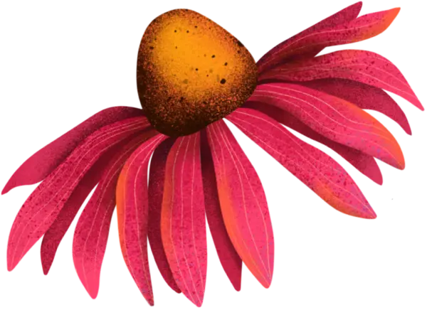 Blume: Blüte