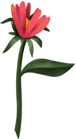 Blume: Stängel